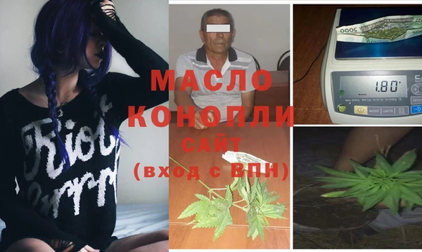 молекула духа Алексин