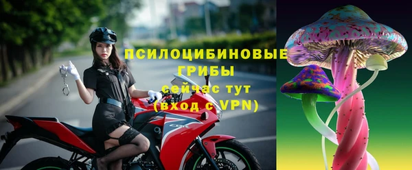 крисы Красноперекопск