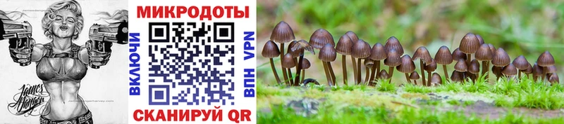 Галлюциногенные грибы мицелий  darknet Telegram  Астрахань 