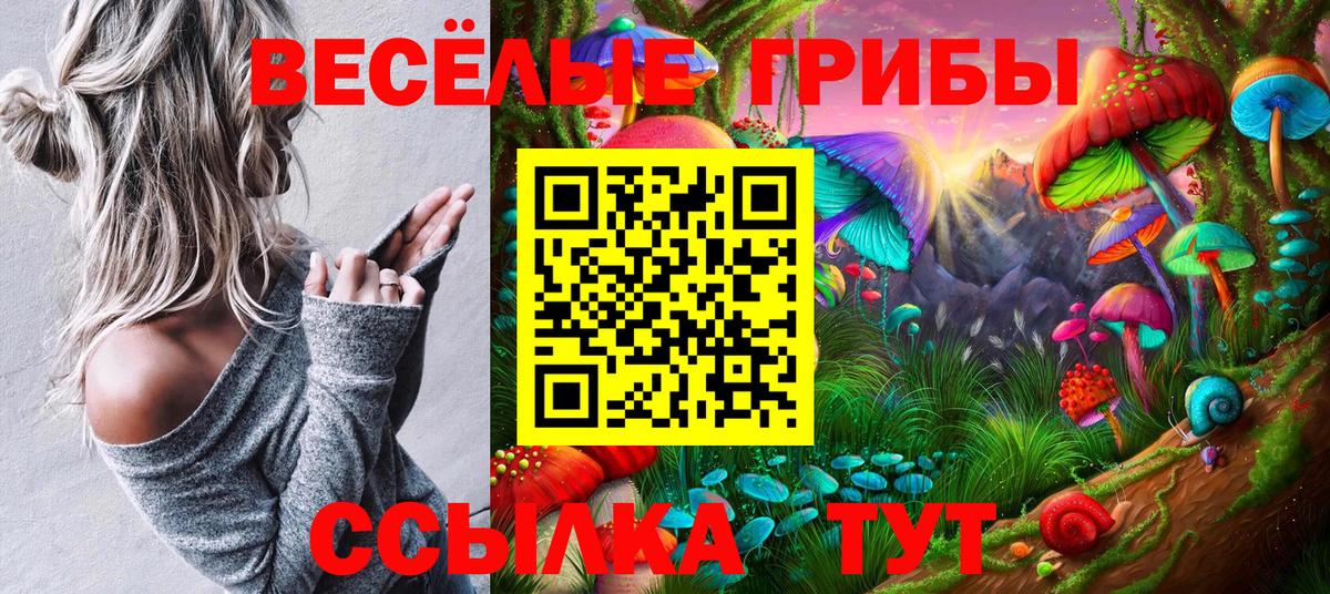 Псилоцибиновые грибы Cubensis  Вход с VPN  купить закладку  Астрахань  Галлюциногенные грибы Cubensis 
